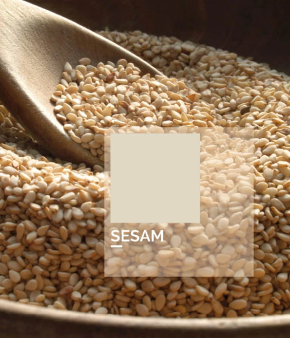Sesam, binnenzijdekast kleur