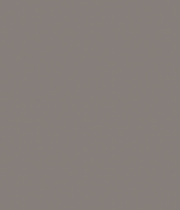 Fossielgrijs