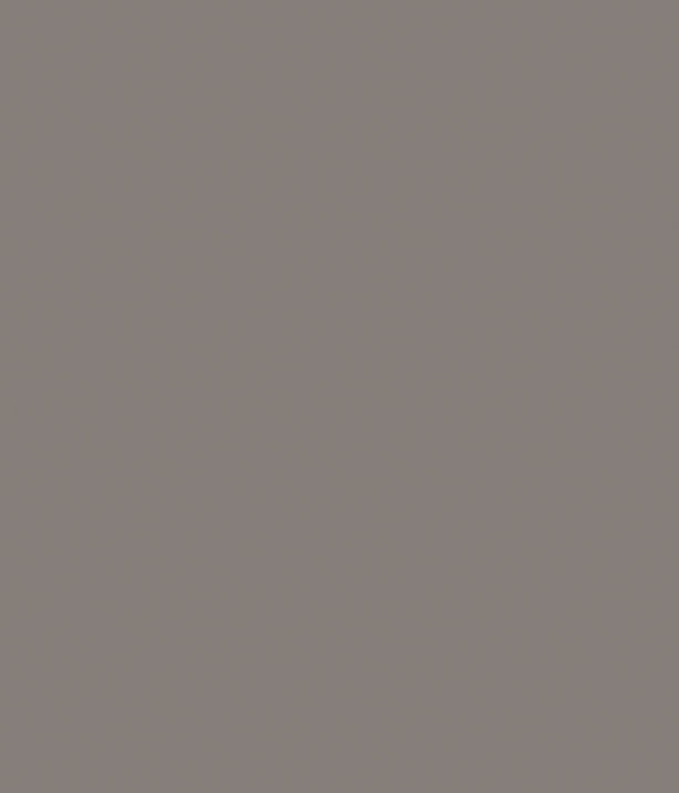 Fossielgrijs