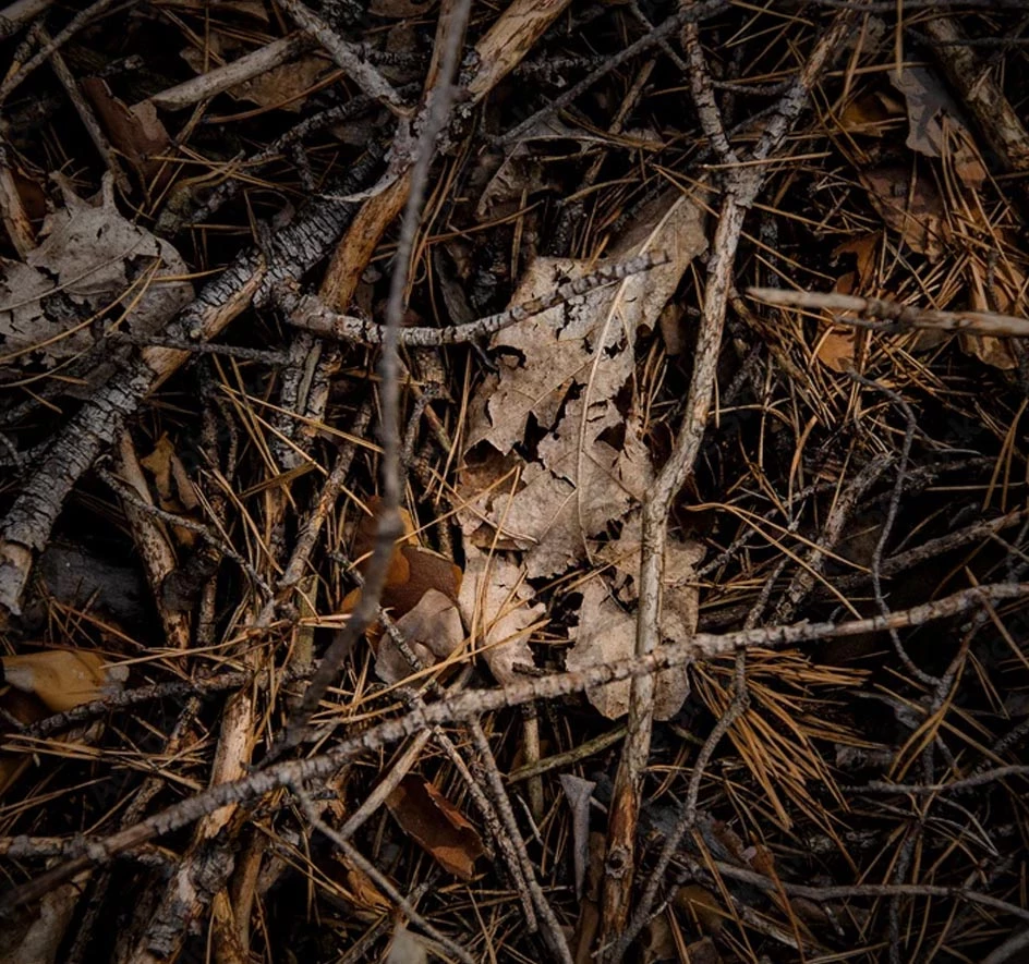 biobased recyclebare lijm