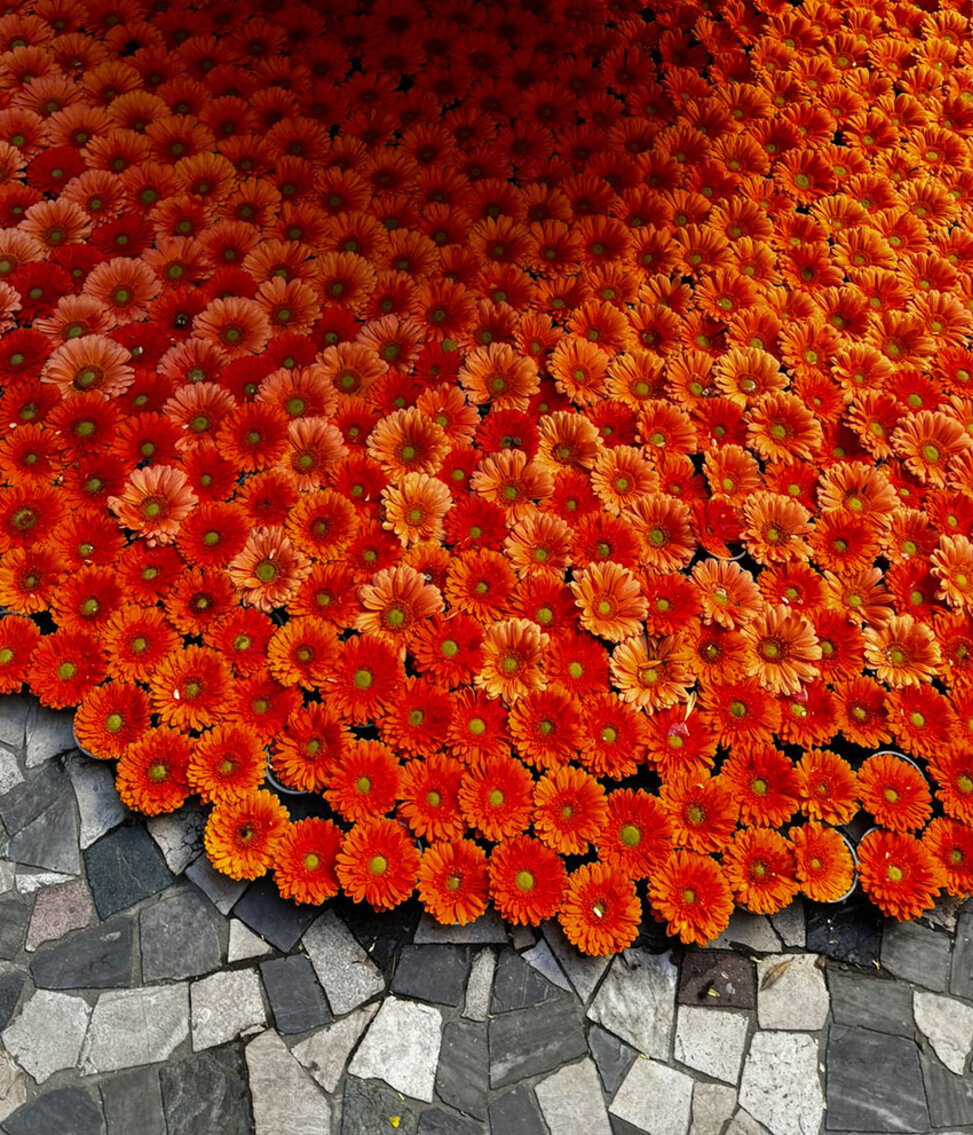 Warm oranje