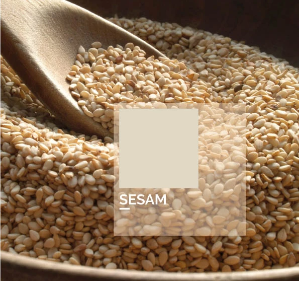 sesam (binnenzijde kast)
